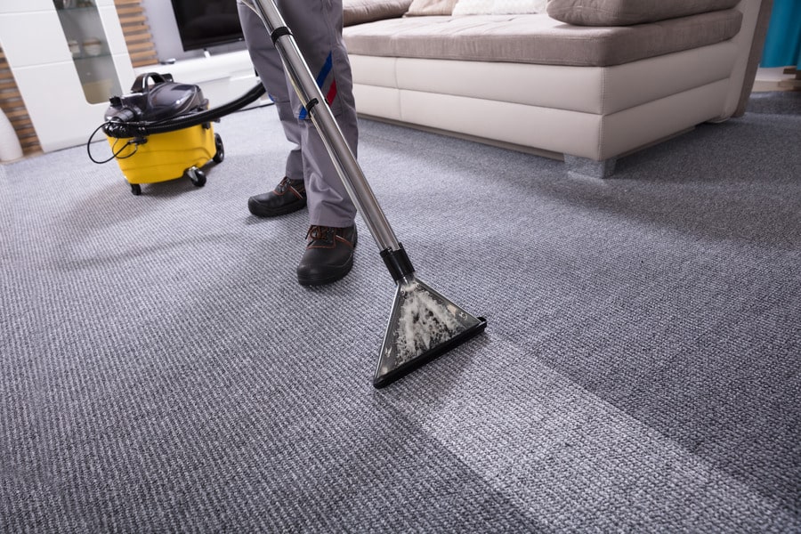 Carpet Cleaning Services in Florida